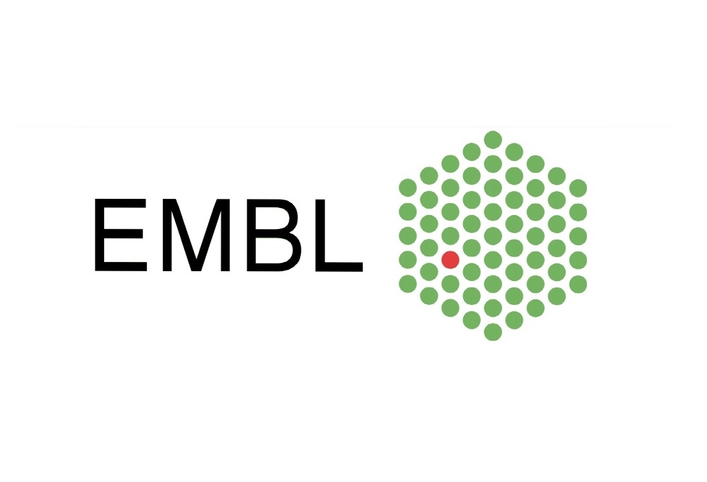 17. EMBL/EMBO Bilim ve Toplum Konferansı / Bugün İçinde Geçmiş: Belleğin Oluşumu! Kayıt Son Başvuru Tarihi: 28 Ekim 2016