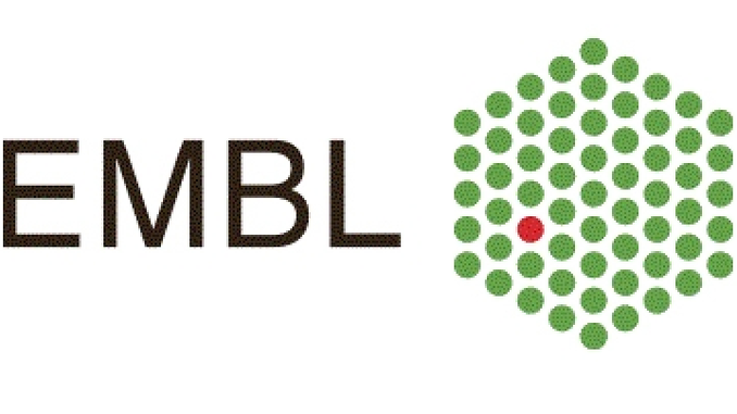 EMBL Disiplinlerarası Doktora Sonrası Araştırmacı Bursu EIPOD Başvurularınızı Bekliyor! Son Başvuru Tarihi: 12 Eylül 2018