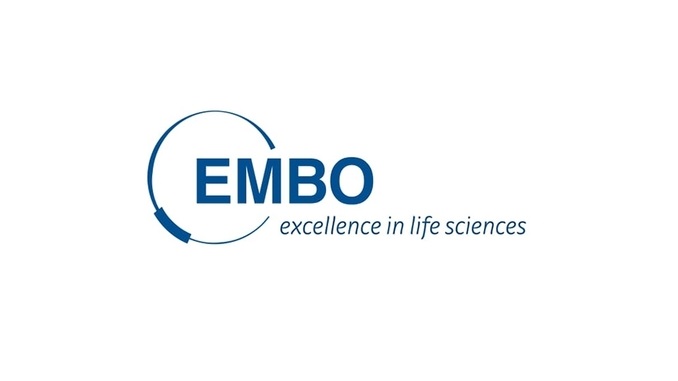 EMBO Yaşam Bilimlerinde Kurs ve Çalıştay Düzenleme Desteğine Başvurular İçin Son Tarih 1 Ağustos 2019!