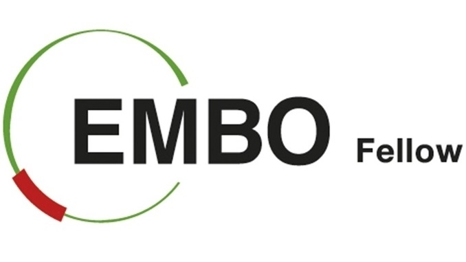 EMBO Araştırma Destek Birimleri Kısa Dönem Burs Programı!