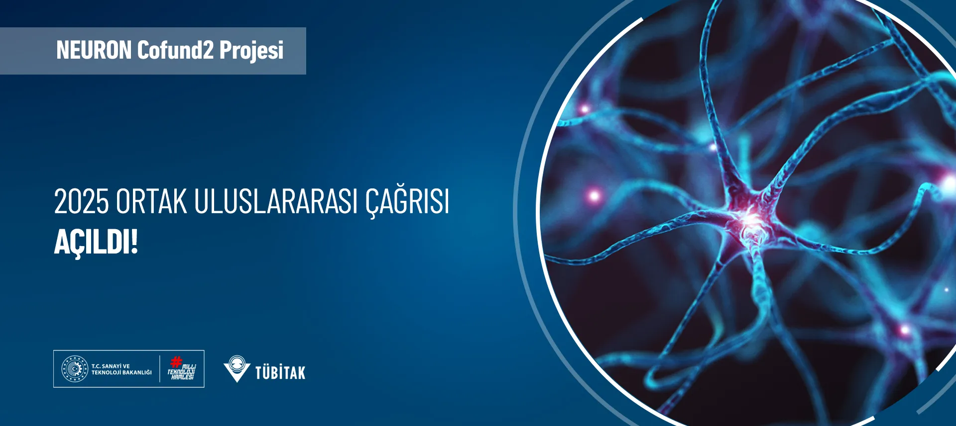 NEURON Cofund2 Projesi 2025 Ortak Uluslararası Çağrısı! Ön Öneri Son Başvuru Tarihi 06 Mart 2025